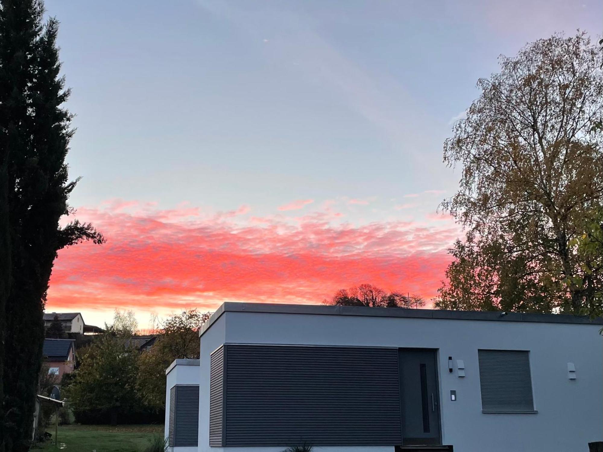 Ferienwohnung im Kelterhaus Wiltingen Exterior foto
