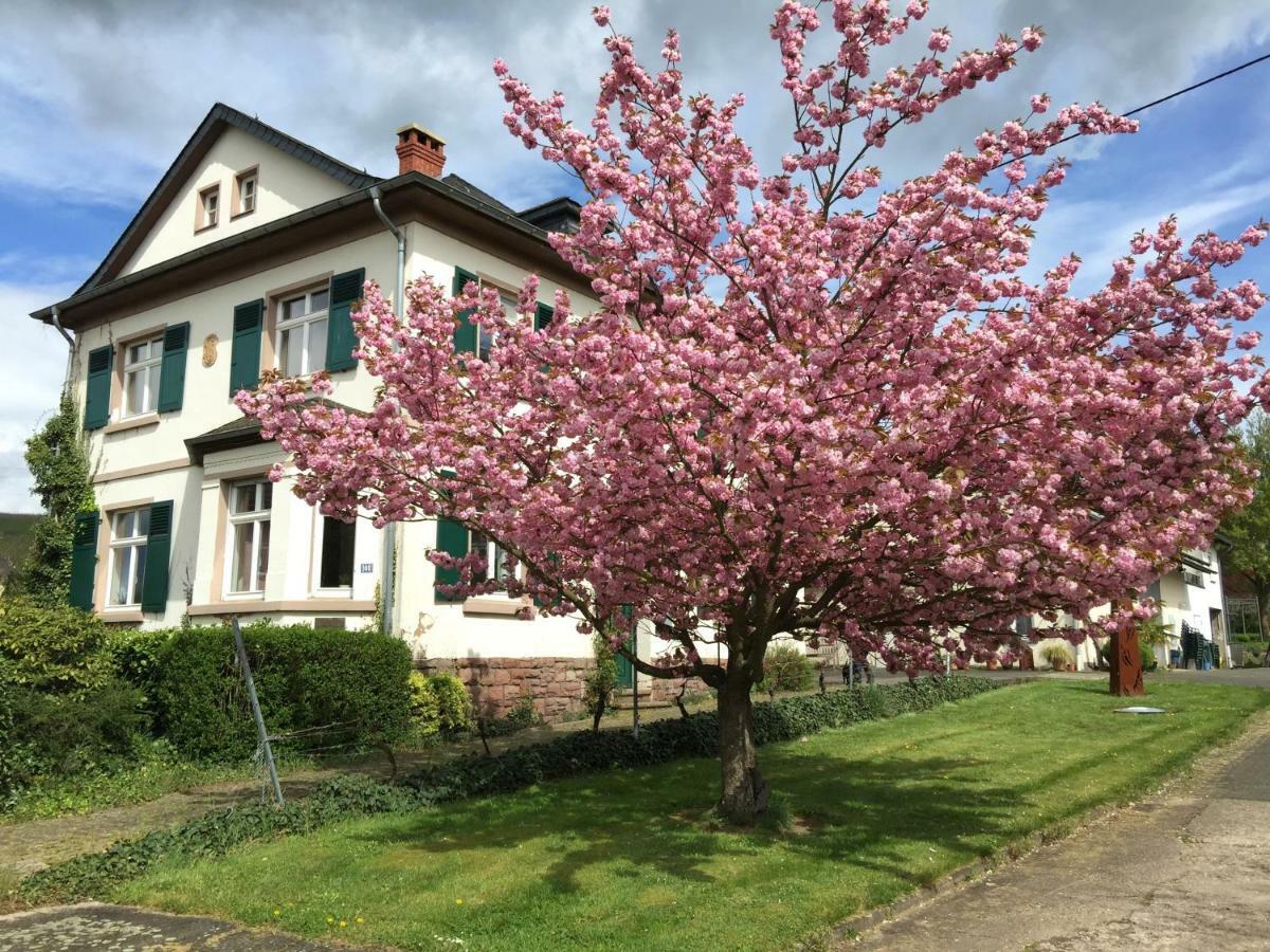 Ferienwohnung im Kelterhaus Wiltingen Exterior foto